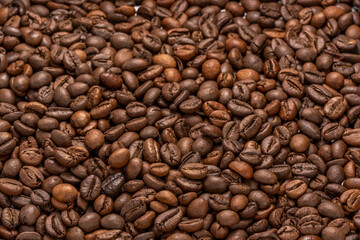 Close up,Roasted Cocoa beans or Aromatic Cocoa beans for coffee drink.