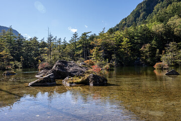 上高地明神池に反射する木々