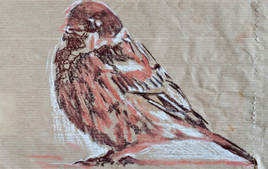 Sparrow bird original drawing charcoal art brown paper
