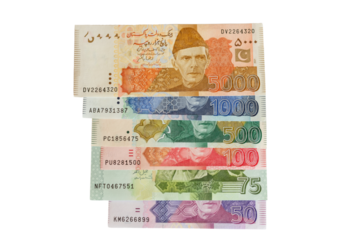 Pakistani currency notes set front side