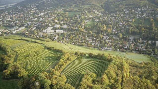 Flying with the drone over Klosterneuburg, Weidling over the Kerblwiese 2