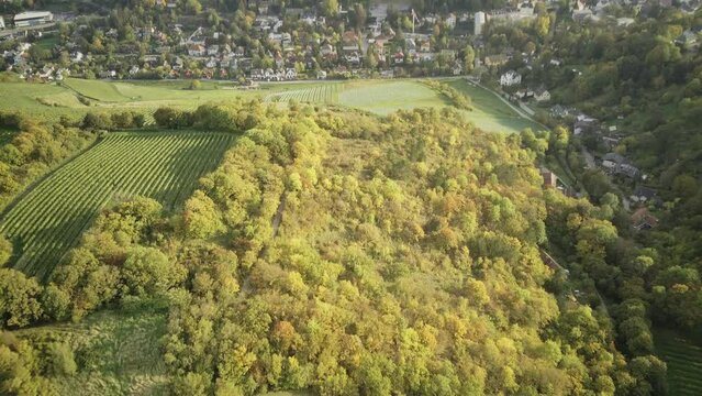 Flying with the drone over Klosterneuburg, Weidling over the Kerblwiese 4