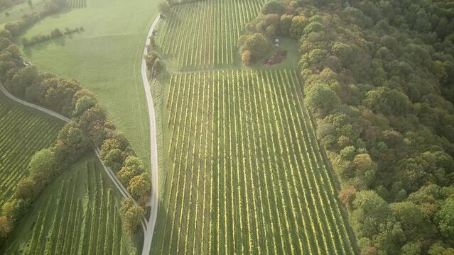 Flying with the drone over Klosterneuburg, Weidling over the Kerblwiese 3