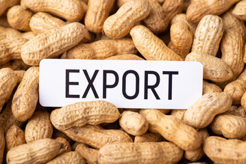 Paper with inscription Export on peanuts in peel. Concept of trade of peanuts, export and import of...