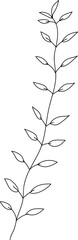Hand drawn leaf branch