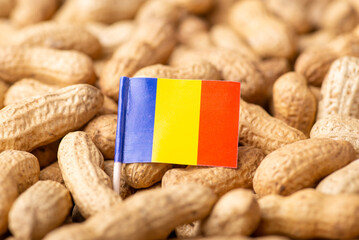 Flag of Romania on peanuts in peel. Concept of growing peanuts in Romania, agribusiness