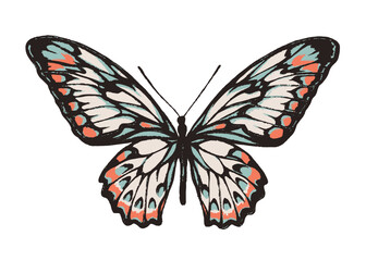 Fototapeta na wymiar Artistic butterfly, brush and paint texture. Vector illustration