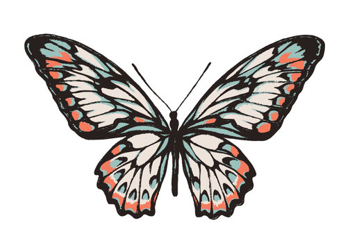 Artistic butterfly, brush and paint texture. Vector illustration