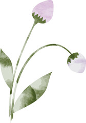Purple watercolor flower illustration
