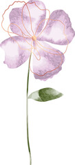 Purple watercolor flower illustration