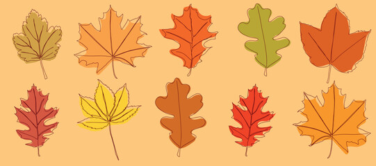 A set of autumn leaves drawn in a continuous line. Autumn leaf in one line. Vector illustration.