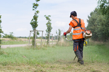 worker cutting grass