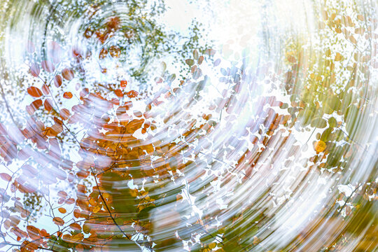 Kreative Herbstbilder