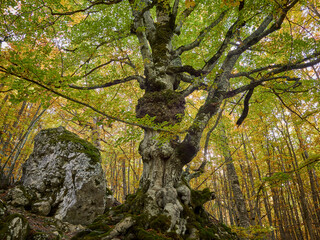 Autunno al GRAN SASSO - Prati di Tivo - Teramo