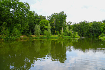 Mühlenbach in Haltern am See. Small pond with the surrounding nature.
