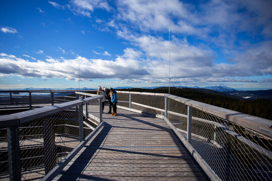 Walk Through Treetops In Rogla, Slovenia