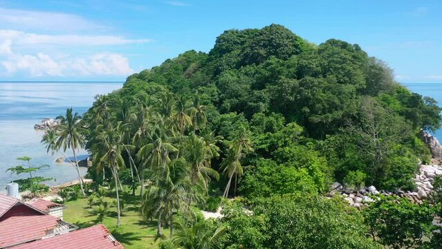 aerial of coconut trees on tropical lengkuas island in belitung indonesia