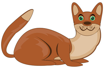 Illustration of the small wildlife timber marten