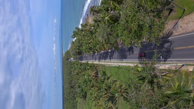 Cars driving on road between palms along ocean, Malecon de Nagua in Dominican Republic. Aerial forward. Vertical format