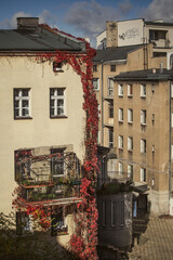 Podwórko, kamienice na poznańskim Łazarzu.  © fotozen