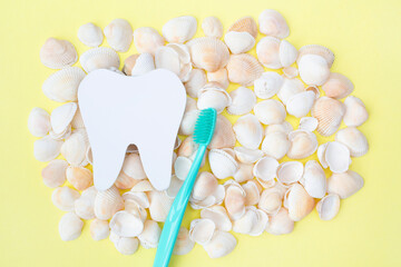 Tooth model, toothbrush and seashells. Yellow background. Flat lay. Top view. Benefits of minerals for dental hygiene. Oral care. Copy space. Place for text. Strength of teeth and gums.