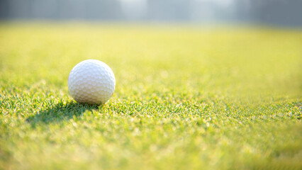 Green grass with golf ball close-up in soft focus at sunlight. Sport playground for golf club concept