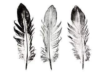 Papier Peint photo Autocollant Plumes a feather printed on paper - graphic imprint.Ethnic indian black and white feathers.