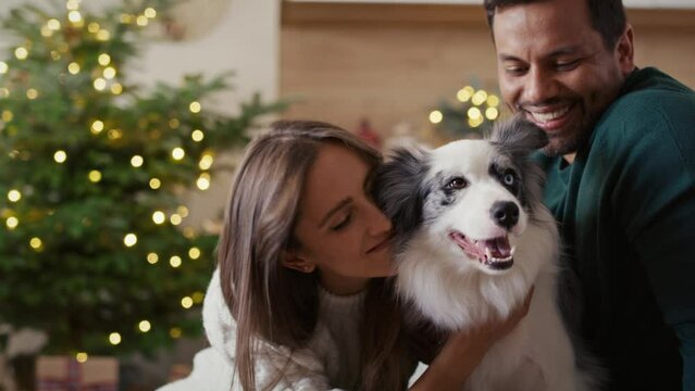 Multi ethnicity couple bonding with dog at Christmas time. Shot with RED helium camera in 8K.    