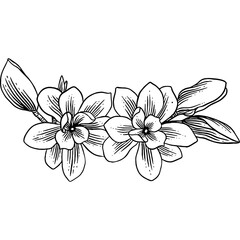 Fototapeta premium Hand drawn Magnolia Flowers Sketch illustration