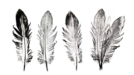 Papier Peint photo Lavable Plumes a feather printed on paper - graphic imprint.Ethnic indian black and white feathers.
