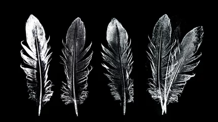 Papier Peint photo Plumes a feather printed on paper - graphic imprint.Ethnic indian black and white feathers.