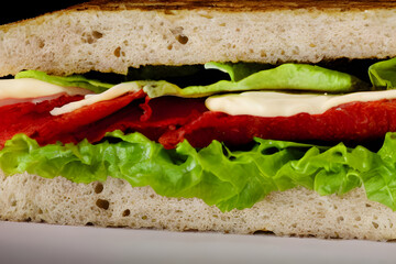 blt sandwich; a tasty breakfast, lunch, or snack; with meat and vegetables