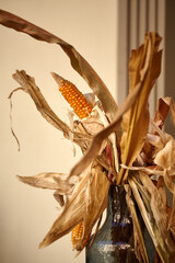 A stylized bouquet of leaves and corn cobs. Dry corn in a glass bottle