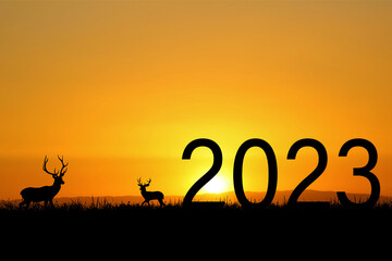Ideas welcome 2023 and new beginnings. Happy New Year