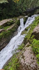 waterfall in the forest