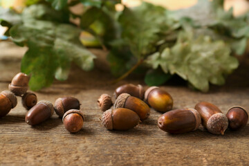 Acorns and green oak leaves on wooden table, closeup