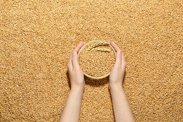 Woman holding bowl with wheat over grains, top view