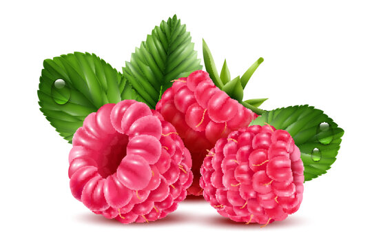 Realistic Raspberry Composition