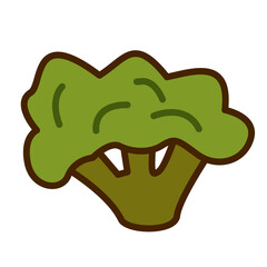 broccoli in doodle style. Vector illustration of a vegetable