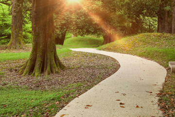 Picturesque view of tranquil park with paved pathway