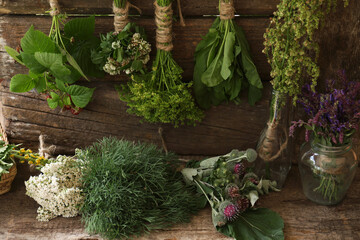 Bunches of different beautiful dried flowers and herbs indoors