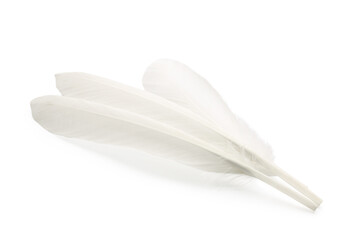 Many fluffy beautiful feathers on white background