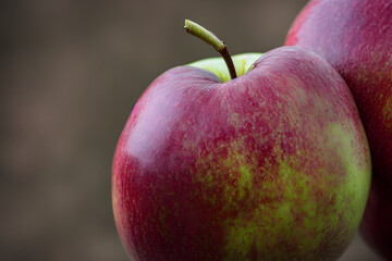a picture of apple fruit, healthy food, sweet and sugary