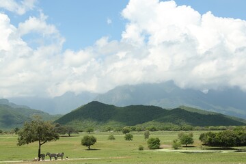 Picturesque view of safari park with animals and mountains