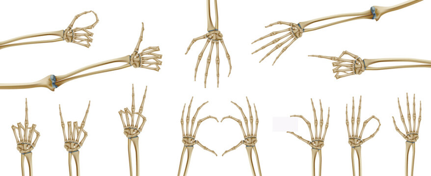 Skeleton Hands Icon Set