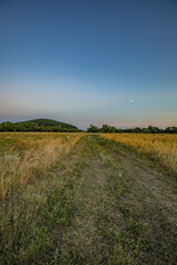 Obraz premium summer landscape in rural areas