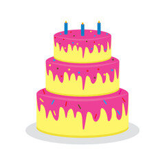 Birthday cake on a white background vector.