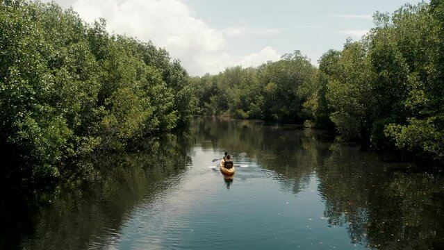 People Riding A Kayak Boat On Mangrove Tour Near El Pared&oacute;n In Escuintla, Guatemala. Aerial Shot