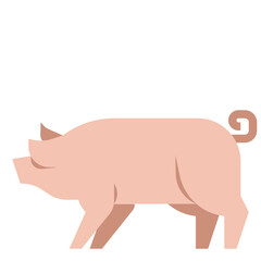 pig