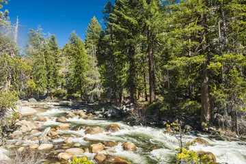 Selbstklebende Fototapeten Wild Merced river in the Yosemite National Park © Fyle